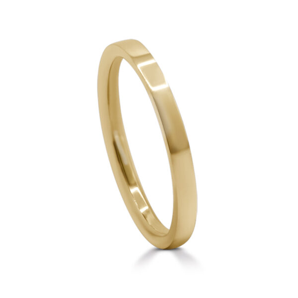 'Flat Court' 2mm ring